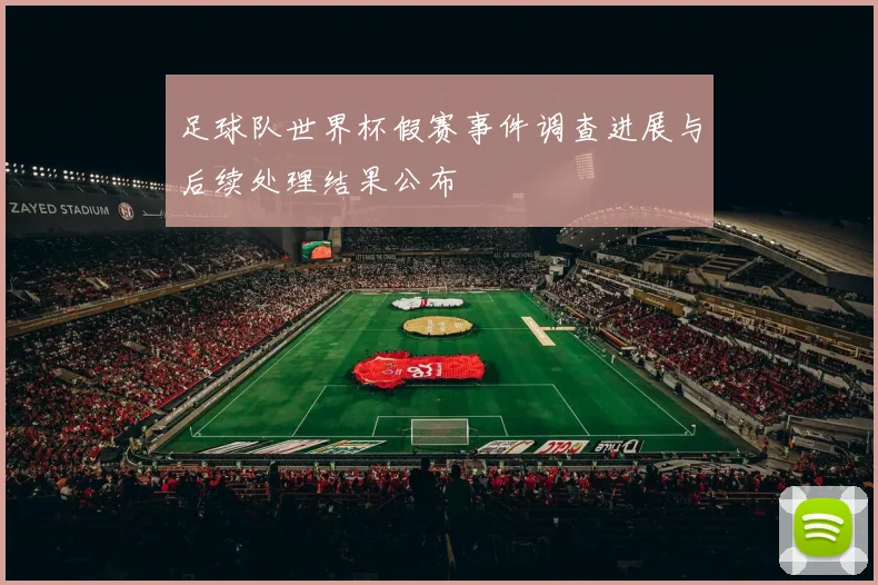 足球队世界杯假赛事件调查进展与后续处理结果公布
