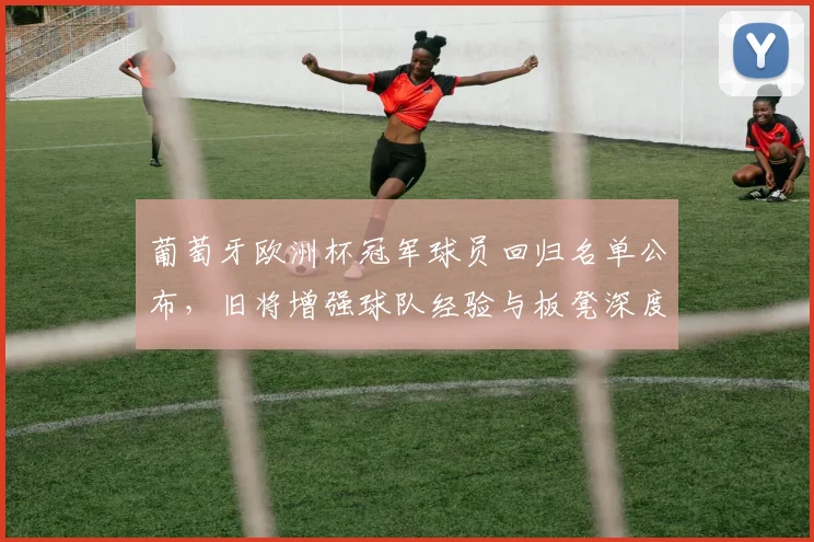 葡萄牙欧洲杯冠军球员回归名单公布，旧将增强球队经验与板凳深度