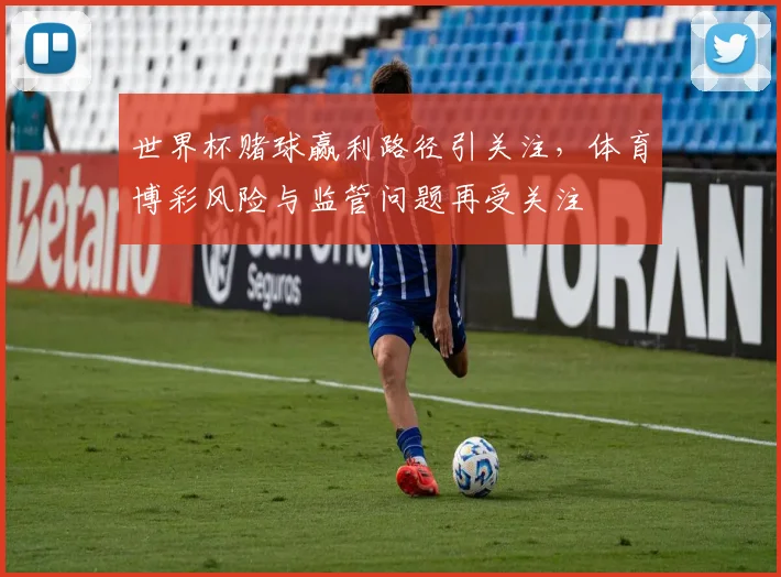 世界杯赌球赢利路径引关注，体育博彩风险与监管问题再受关注