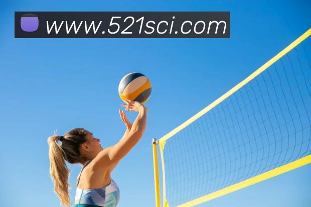 电子pg平台下载官网平台生态图